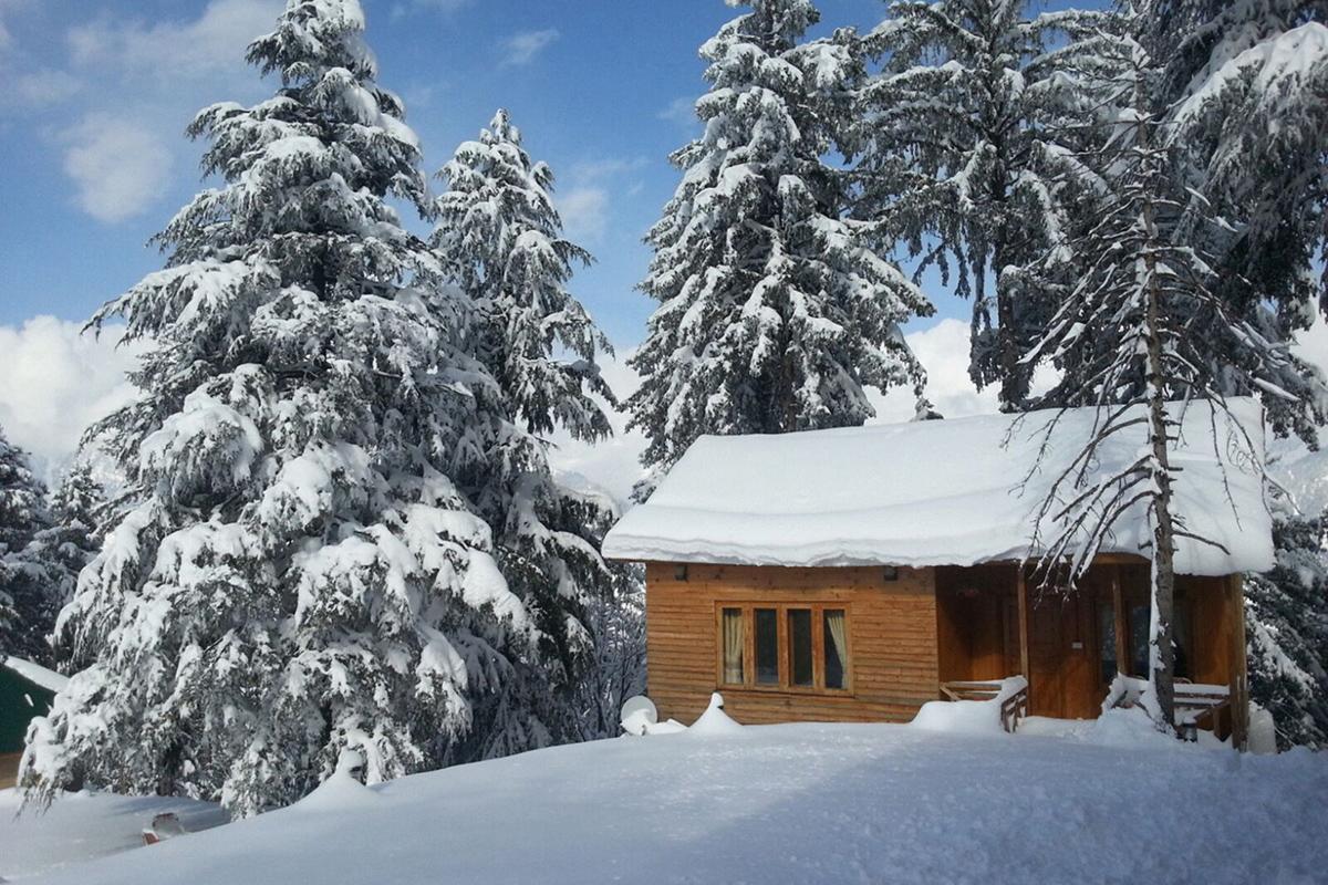 Hotel Arcadian Sprucewoods à Shogran Extérieur photo