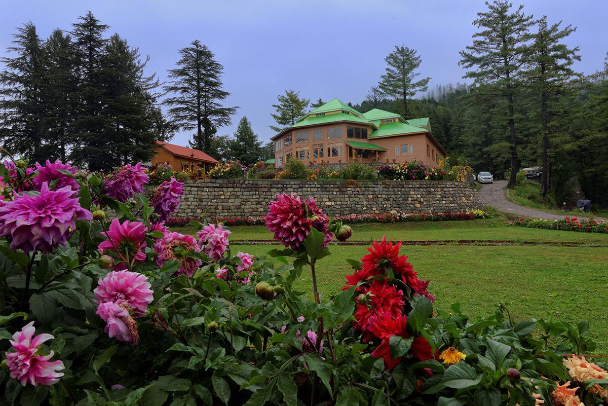 Hotel Arcadian Sprucewoods à Shogran Extérieur photo